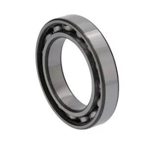 5181866 - Подшипник полуоси в кулаке моста пер. T7/Pm., DS 5кл. TGT8./Mg.